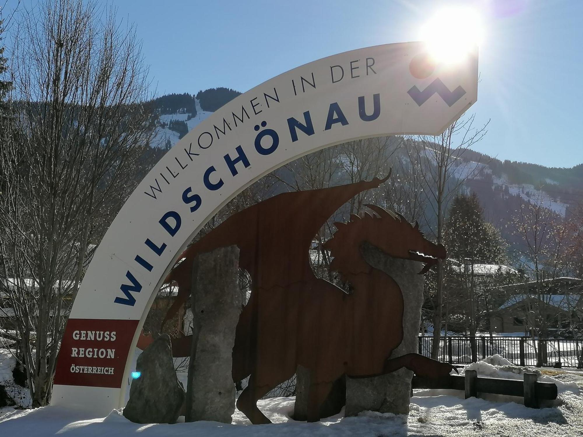 Wimmers Hundsegghof WILD001 Niederau Esterno foto